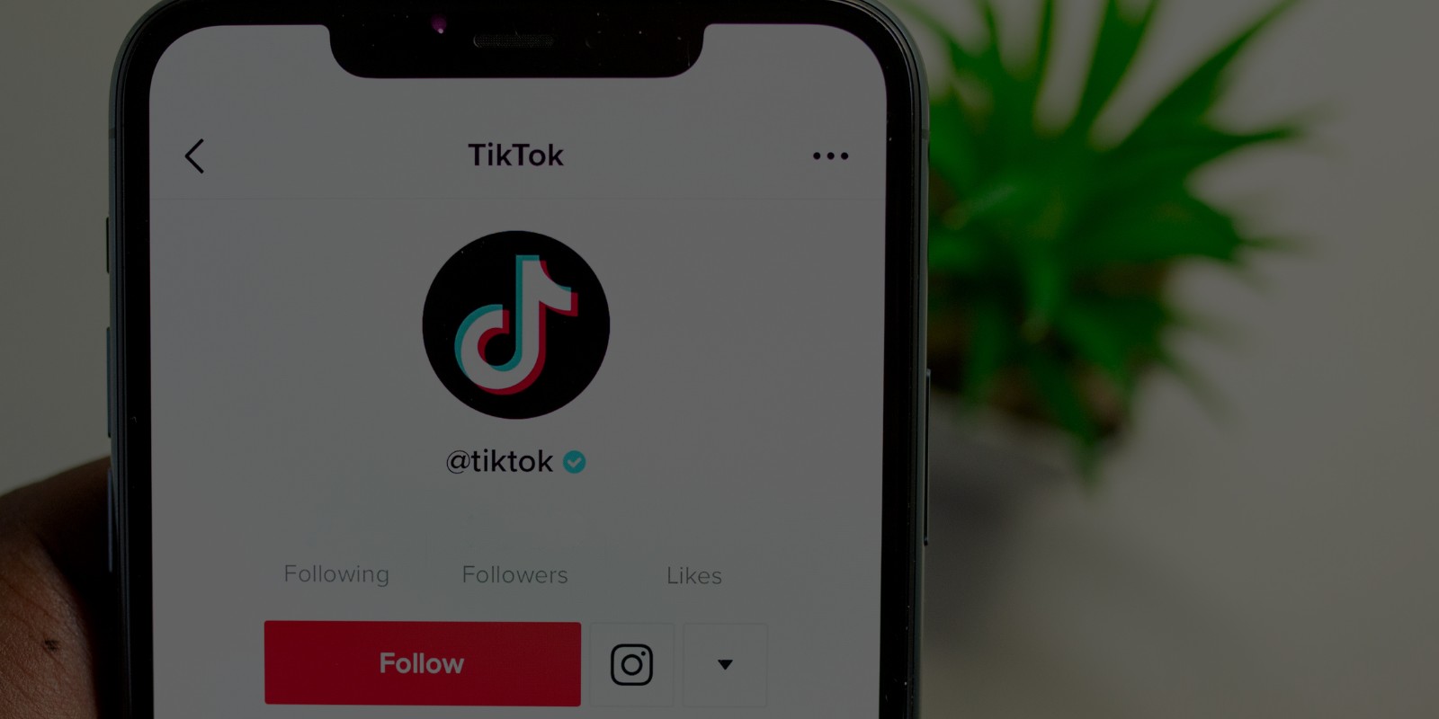 Mais Gratidão, Menos TikTok